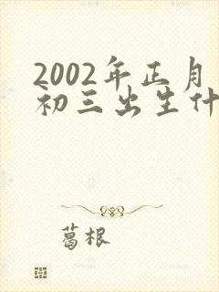 2002年正月初三出生什么命