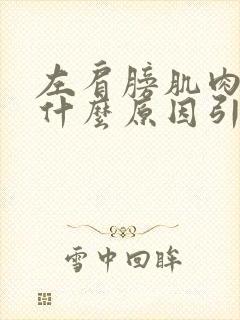 左肩膀肌肉酸痛什么原因引起的