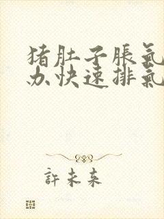 猪肚子胀气怎么办快速排气