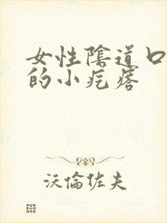 女性阴道口周围的小疙瘩