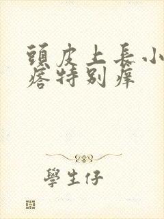 头皮上长小红疙瘩特别痒封面