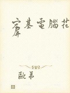 宏基电脑花屏黑屏