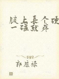 腚上长个硬疙瘩一碰就疼