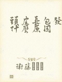 头皮长包发痒是什么原因封面