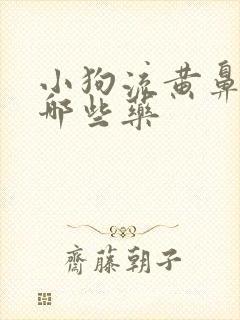 小狗流黄鼻涕用哪些药