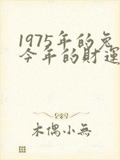 1975年的兔今年的财运怎样?