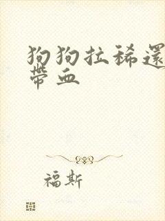 狗狗拉稀还有点带血