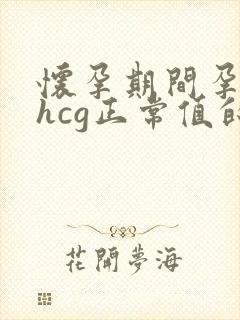 怀孕期间孕酮与hcg正常值的列表