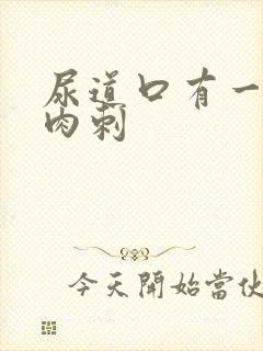 尿道口有一排小肉刺