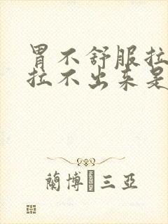 胃不舒服拉屎又拉不出来是怎么回事