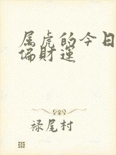 属虎的今日财运偏财运