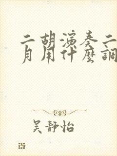 二胡演奏二泉映月用什么调