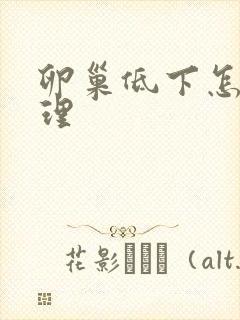 卵巢低下怎么调理