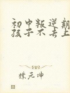 初中叛逆期的男孩子不去上学怎么去引导