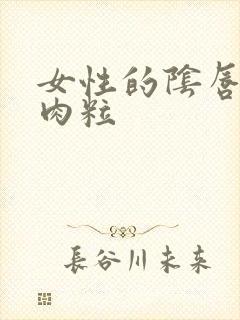 女性的阴唇有小肉粒封面