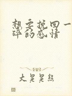 想要挽回一段破碎的感情