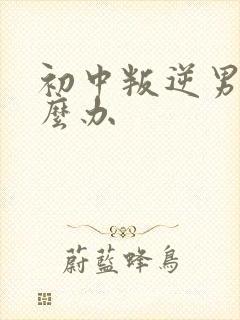 初中叛逆男孩怎么办