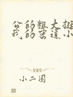 公的粗大挺进了我的密道小说封面