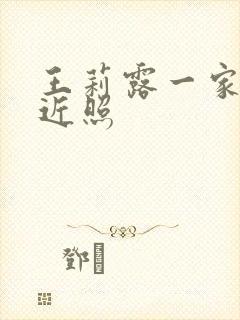 王莉露一家三口近照封面