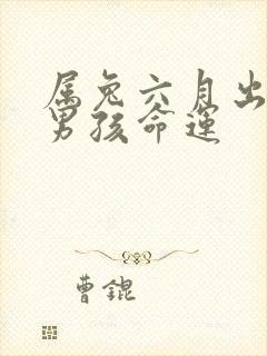 属兔六月出生的男孩命运