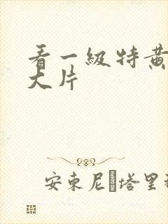 看一级特黄子a大片封面