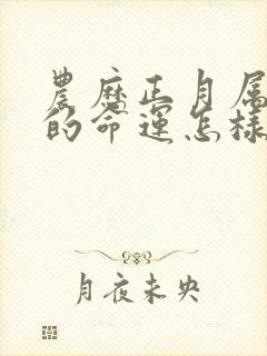 农历正月属兔人的命运怎样封面