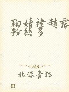 鞠婧祎赵露思谁粉丝多