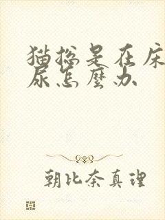 猫总是在床上拉尿怎么办封面