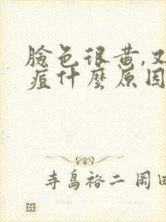 脸色很黄,又长痘什么原因