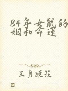 84年女鼠的婚姻和命运封面