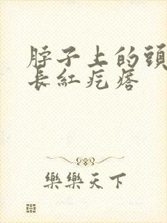 脖子上的头皮上长红疙瘩