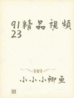 91精品视频123