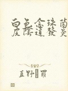 白色念珠菌性表皮阴道发炎