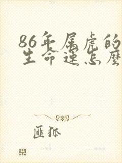 86年属虎的一生命运怎么样