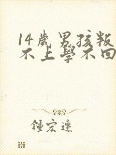 14岁男孩叛逆不上学不回家怎么办