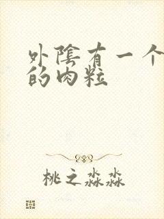 外阴有一个很小的肉粒