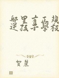 哪里有正规的叛逆孩子学校