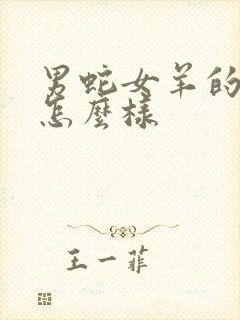 男蛇女羊的婚姻怎么样封面