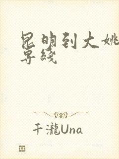 昆明到大姚物流专线