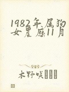 1982年属狗女农历11月出生一生命运