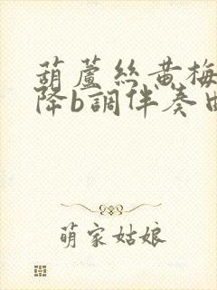 葫芦丝黄梅悠悠降b调伴奏曲