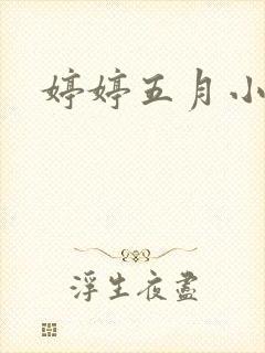 婷婷五月小说封面