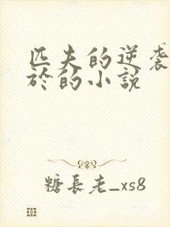 匹夫的逆袭类似于的小说