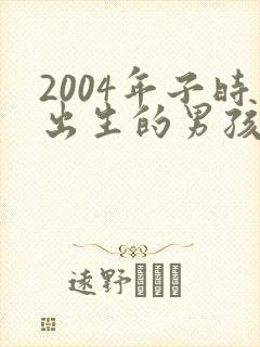 2004年子时出生的男孩命运
