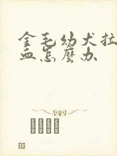 金毛幼犬拉稀带血怎么办封面