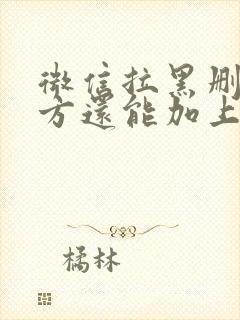 微信拉黑删除对方还能加上吗