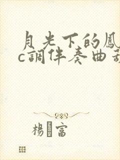 月光下的凤尾竹c调伴奏曲葫芦丝