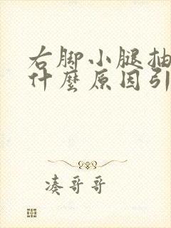 右脚小腿抽筋是什么原因引起的