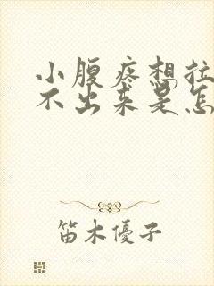 小腹疼想拉屎拉不出来是怎么回事