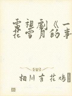 电视剧《一场风花雪月的事》